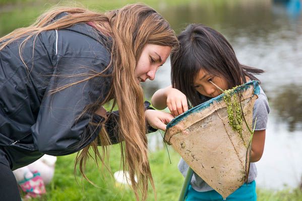 Pond Ecosystems